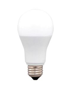 LED Light Bulb