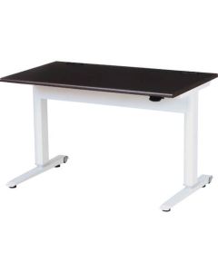 Lifting Work Desk 1อัน