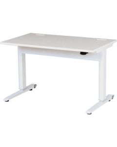 Lifting Work Desk 1อัน