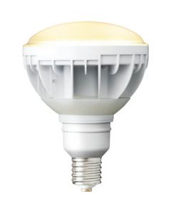 หลอดไฟ LED ตา 33W (ชนิดฐาน E39, ตัวโคม: สีขาว, สีอ่อน: สีหลอดไฟ)