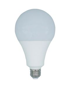 Light Bulb 1อัน
