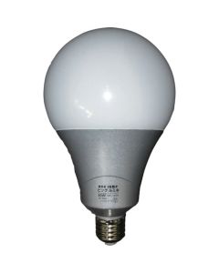 Light Bulb  อันละ 1 อัน