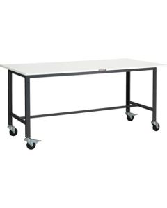 Light-Duty Workbench c/w 100mm Casters