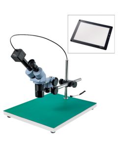 Stereo Microscope อันละ 1 อัน