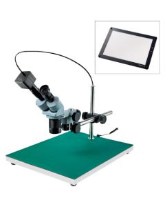 Stereo Microscope อันละ 1 อัน