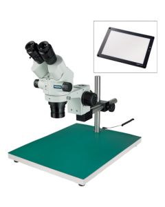 Stereo Microscope อันละ 1 อัน