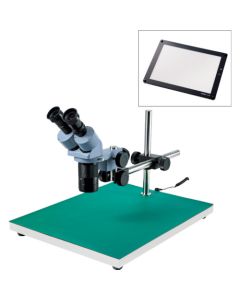 Stereo Microscope อันละ 1 อัน
