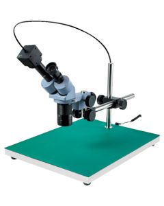 Stereo Microscope อันละ 1 อัน