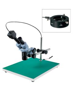 Stereo Microscope อันละ 1 อัน