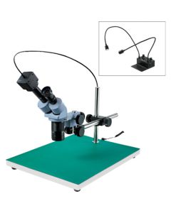 Stereo Microscope อันละ 1 อัน