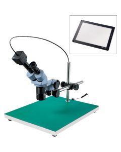 Stereo Microscope อันละ 1 อัน