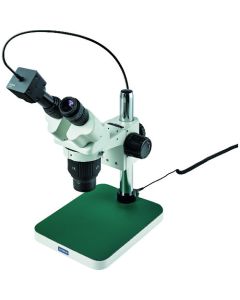 Stereo Microscope อันละ 1 อัน