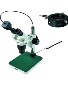 Stereo Microscope อันละ 1 อัน