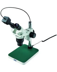 Stereo Microscope อันละ 1 อัน