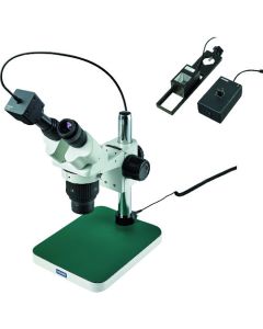 Stereo Microscope อันละ 1 อัน