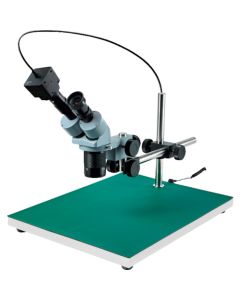 Stereo Microscope อันละ 1 อัน