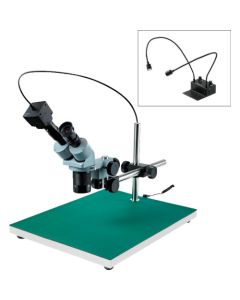 Stereo Microscope อันละ 1 อัน