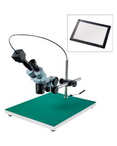 Stereo Microscope อันละ 1 อัน
