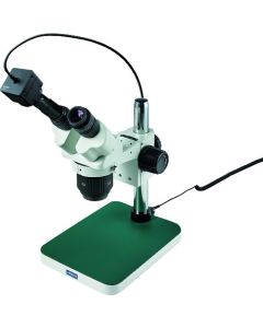 Stereo Microscope อันละ 1 อัน