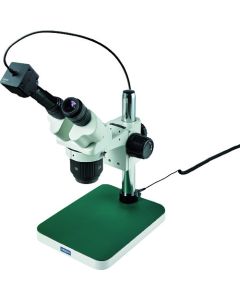 Stereo Microscope อันละ 1 อัน