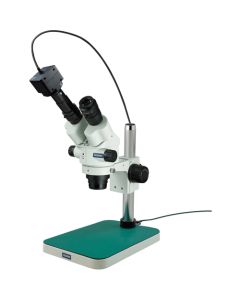 Stereo Microscope อันละ 1 อัน