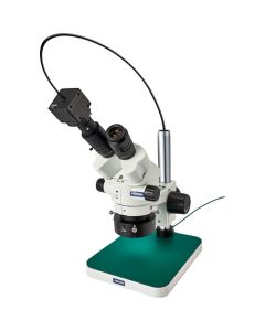 Stereo Microscope อันละ 1 อัน