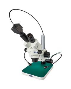 Stereo Microscope อันละ 1 อัน