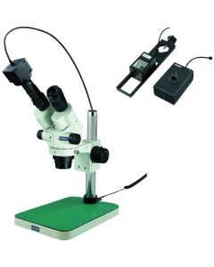 Stereo Microscope อันละ 1 อัน
