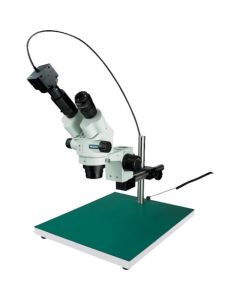 Stereo Microscope อันละ 1 อัน