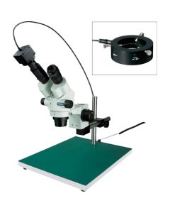 Stereo Microscope อันละ 1 อัน