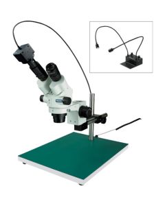 Stereo Microscope อันละ 1 อัน