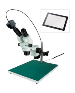 Stereo Microscope อันละ 1 อัน