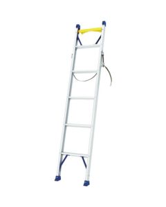 Aluminum ladder