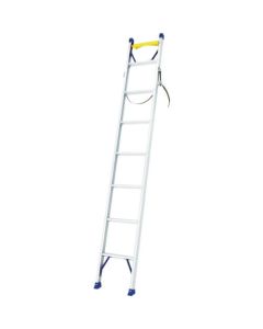 Aluminum ladder