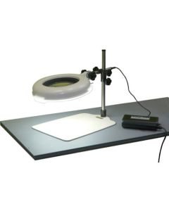 LED Illuminated Magnifier Table Stand Type 1อัน