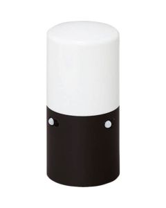 Garden Sensor Light