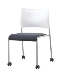 Meeting Chair