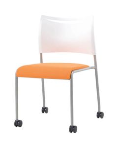 Meeting Chair