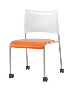 Meeting Chair