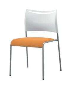 Meeting Chair