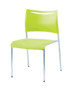 Meeting Chair