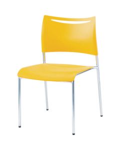 Meeting Chair