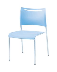 Meeting Chair