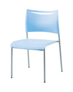 Meeting Chair