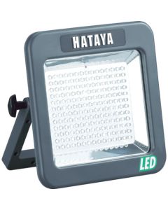 LED Light