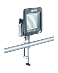 LED Light