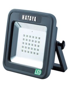 LED Light