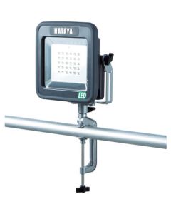 LED Light