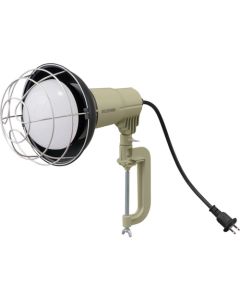 LED Floodlight