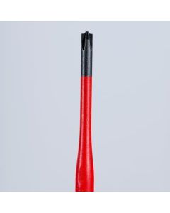 ไขขวง (Slim) PlusMinus Phillips®
